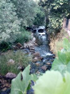 a stream of water with rocks and trees at CASA RURAL PACO Y PACA in Benaoján