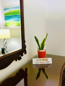 a plant sitting on a table in front of a mirror at Villa Altiery Puerto Rico in Caguas