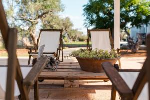 een houten tafel met stoelen en een plant erop bij Villa Rilù in Pizzo