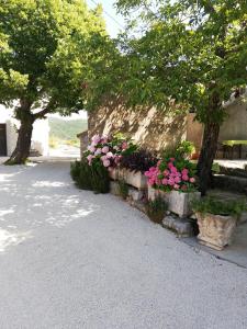 Zahrada ubytování Apartments Renata - Brseč