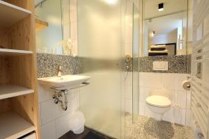 a bathroom with a shower and a toilet and a sink at Chasa Altana in Ischgl