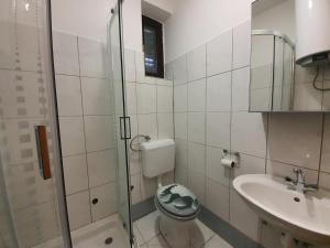 a bathroom with a shower and a toilet and a sink at Apartmani Bellevue in Vir +35 photos