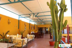una habitación con un cactus, mesas y sillas en Hotel Americano, en Arica