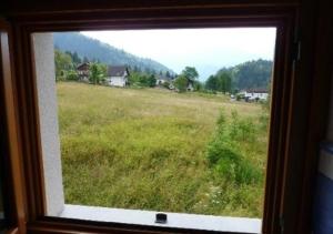 una ventana con vistas a un campo de hierba en Agriturismo Plan Da Crosc en Prato Carnico