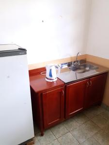 um balcão de cozinha com um lavatório e um aparelho em Hopedaje Felisa em Cafayate