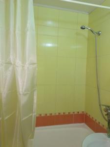 La salle de bains est pourvue d'une douche avec rideau de douche. dans l'établissement Василя Стуса 10 City Rooms, à Bila Tserkva