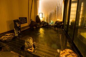 a room with rocks in the water in a building at Dormy Inn Express Mikawaanjo in Anjomachi