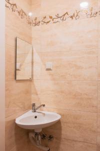 a bathroom with a sink and a mirror at Agnės svečių namai in Kaunas