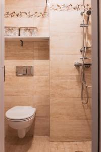 a bathroom with a toilet and a shower at Agnės svečių namai in Kaunas