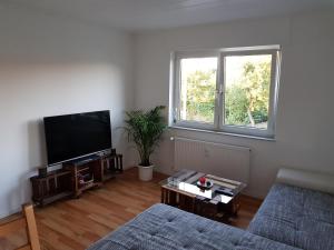Haus Rebenblick في Dierbach: غرفة معيشة مع تلفزيون بشاشة مسطحة وأريكة