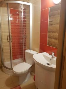 Un baño con inodoro, ducha y lavabo. en Domek góralski, en Małe Ciche 28 fotos más