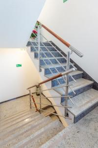 Fotografie z fotogalerie ubytování Apartments Palma v destinaci Stanići