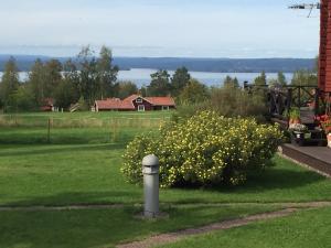 テルベリにあるEhlingårdenの黄花の茂みの横の芝生の柱