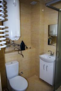 a bathroom with a toilet and a sink at Apartments Provence in Chernivtsi