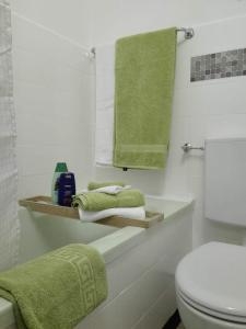 a bathroom with a toilet and green towels on a shelf at "Le Sorelle" Apartments in Ferden