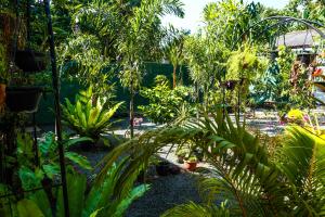 Zahrada ubytování Ruwan Jungle Homestay