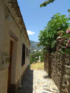 an alley in an old stone building with a tree at Una joya en la Alpujarra in Bubión