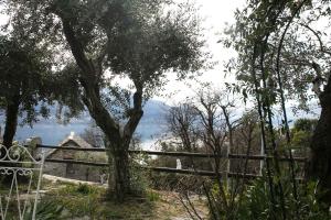 uma árvore em frente a uma cerca de madeira em Casa Alma Grotto em Brione sopra Minusio