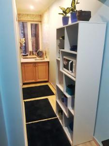 a room with a kitchen with a sink and a shelf at Apartments Provence in Chernivtsi