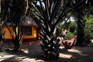 un hamac suspendu à un arbre devant une maison dans l'établissement Little's Nature Retreat, à Kartung