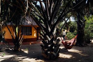 a hammock hanging from a tree in front of a house at Little's Nature Retreat in Kartung