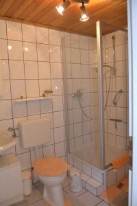 uma casa de banho com um WC e um chuveiro em Ferienwohnung Heinen em Andernach