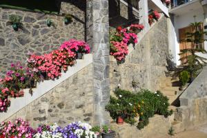 Vrt pred nastanitvijo MANUDI Glenfallsedge Rest