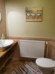 a bathroom with a toilet and a sink at Kaare Guesthouse in Viljandi