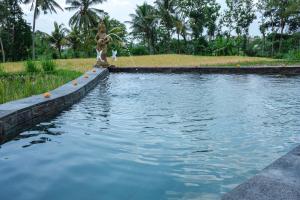 Bazén v ubytování Kidem Ubud Villas nebo v jeho okolí