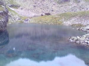 a pool of water on a hillside with rocks andgrass at Apart Sebastian in Kappl