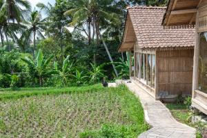 Zahrada ubytování Kidem Ubud Villas