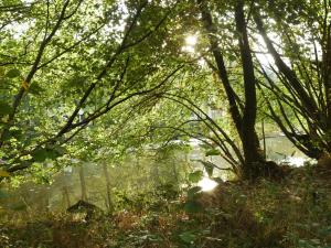 Ảnh trong thư viện ảnh của Ardennen Vakantie Chalet ở Durbuy