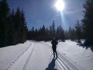 Φωτογραφία από το άλμπουμ του Appartement Steiner σε Breitenbrunn