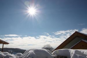 Φωτογραφία από το άλμπουμ του Appartement Steiner σε Breitenbrunn