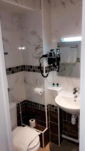 a bathroom with a toilet and a sink at Hotel Les Arcades in Rouen