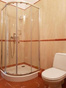 a bathroom with a shower and a toilet at Apartamenty Sienkiewicza10 in Łomża
