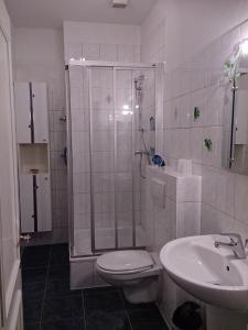 a bathroom with a shower and a toilet and a sink at Villa Hebel in Cuxhaven