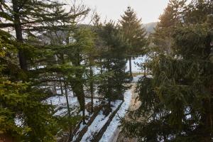 a view of a snow covered forest with trees at Chiar di Luna Apartment in Roccaraso
