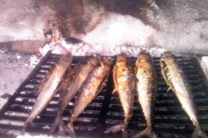 a group of fish cooking on a grill at Una holiday house in Bihać