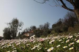 A garden outside Agriturismo Nonna Bettina