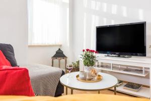 Televízia a/alebo spoločenská miestnosť v ubytovaní Apartman Lussi