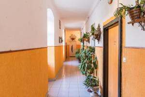 Fotografia z galérie ubytovania Apartman Lussi v destinácii Pula