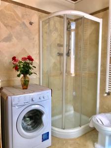 uma máquina de lavar roupa na casa de banho com um chuveiro em Il Colle Rigomagno em Rigomagno