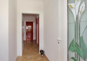 Fotografie z fotogalerie ubytování Apartments Maivjo v destinaci Zadar