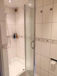 y baño con ducha y puerta de cristal. en Domus Nimma, en Nijmegen