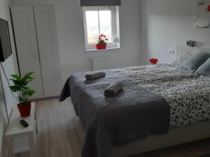 Posteľ alebo postele v izbe v ubytovaní Szalók Spa Apartman Egerszalók