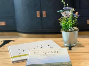 Fotografie z fotogalerie ubytování K1 Panoramic apartment v destinaci Szekszárd