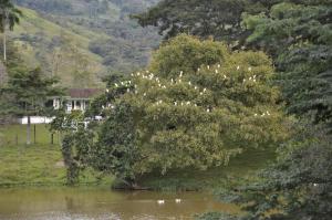 Loodusmaastik of the country house lähedal