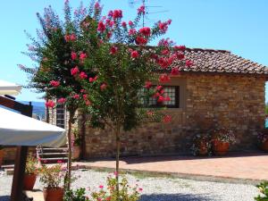 a tree with pink flowers in front of a building at Agriturismo Circugnano in Grassina