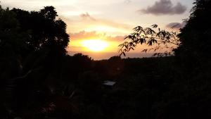 Billede fra billedgalleriet på Shades Cottage Guesthouse i Blue Hole